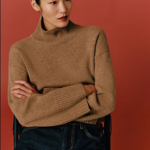 Reformation Chocolate Brown Turtleneck Sweater - Picture 8 of 8